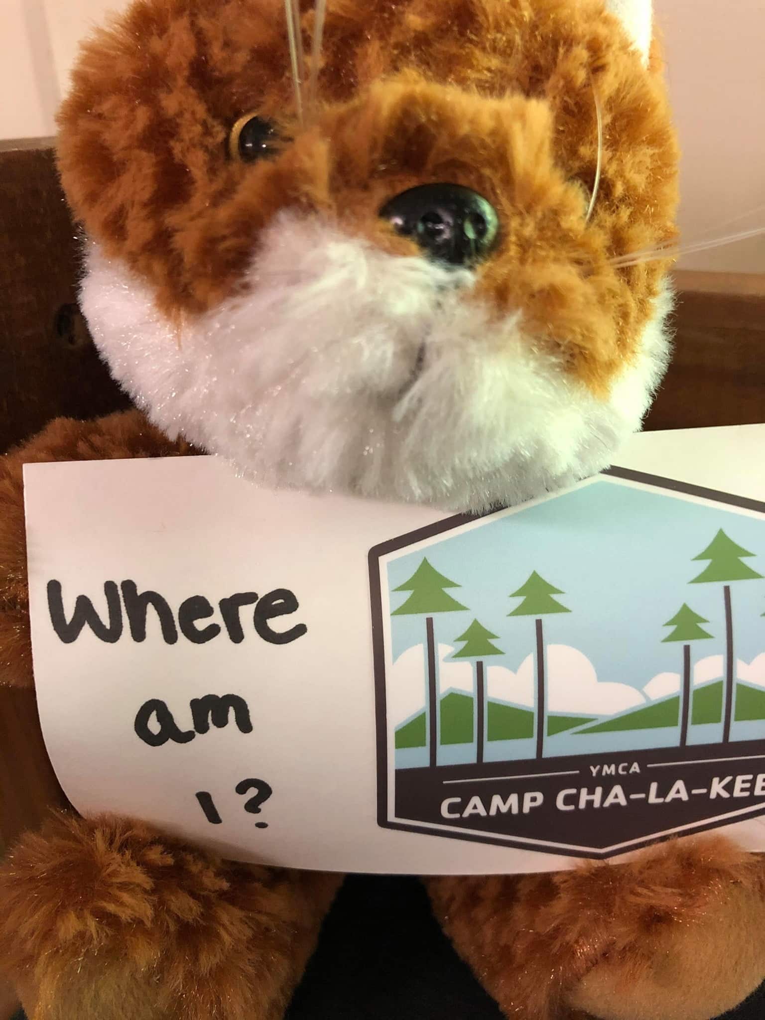 Where is Charlie 29APR